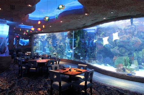 Aquarium restaurant opry mills - Opry Mills is a super-regional shopping mall in Nashville, Tennessee, United States. ... Saltgrass Steakhouse, Aquarium Restaurant, Bavarian Bierhaus, Chuy's Mexican Food and Romano's Macaroni Grill restaurants are located inside and outside the food court. ...